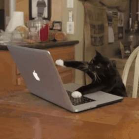 6fbea8ebc0c5418ab1a3550f72a34111.gif